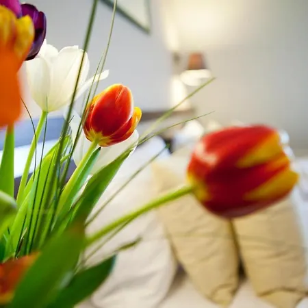 Hotel Hotel&spa Pod Orłem